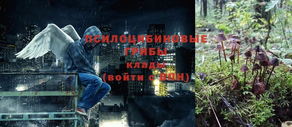 mix Ельня