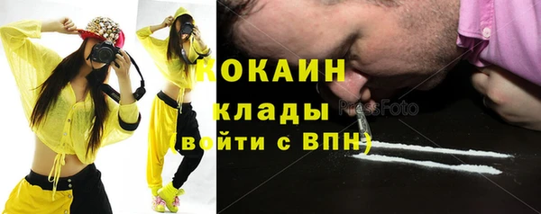 сатива Заволжье