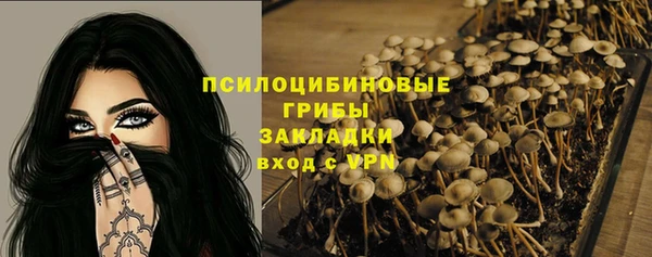 сатива Заволжье