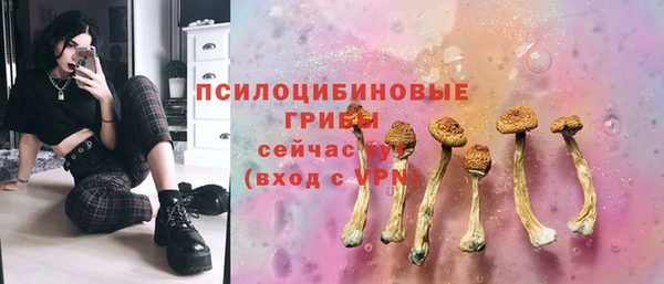 альфа пвп Елизово