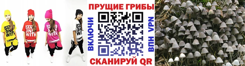 Псилоцибиновые грибы ЛСД  Купить закладки  Теберда 