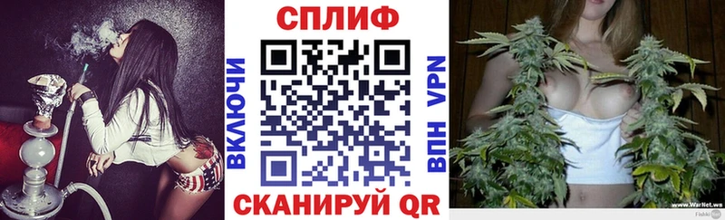 Купить где  Теберда  Бошки Шишки планчик 